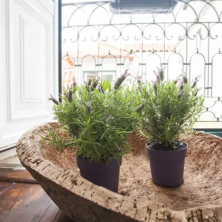 Bica ゲストハウス リスボン