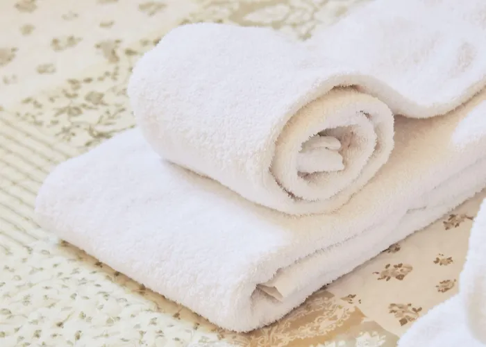 Maison d'hôtes Bica